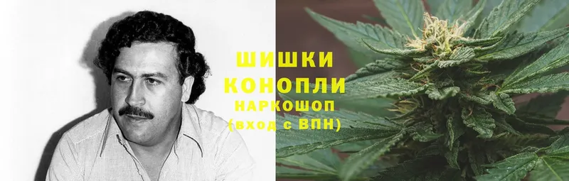 наркота  Аша  Каннабис THC 21% 